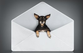 Bedrock Email Newsletters